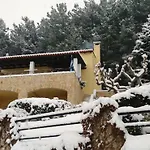 Six Steps From The Forest