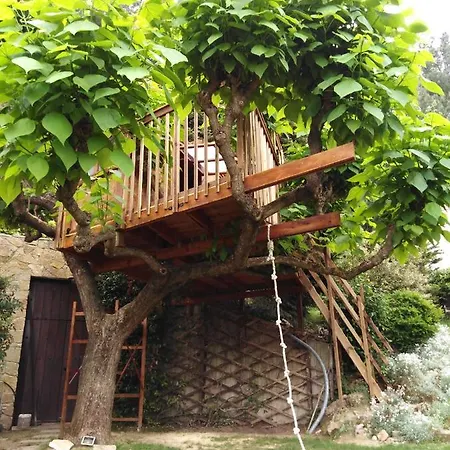 Six Steps From The Forest Feriehus Zigos (Kavala)