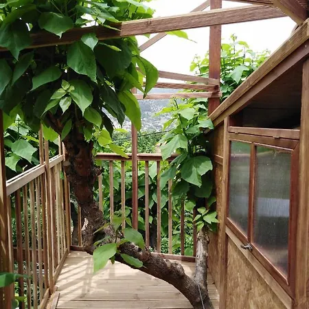 Six Steps From The Forest Feriehus Zigos (Kavala)