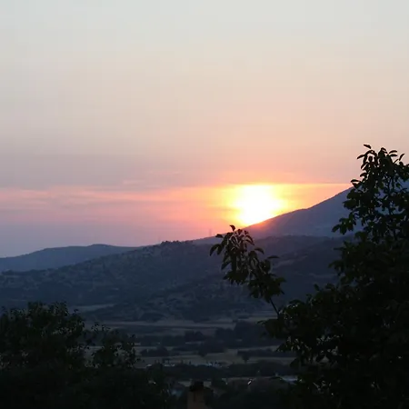 Six Steps From The Forest