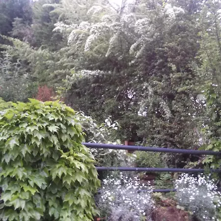 Casa vacanze Six Steps From The Forest Zigos (Kavala)