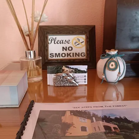 Casa vacanze Six Steps From The Forest Zigos (Kavala)