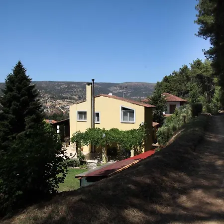 Six Steps From The Forest Zigos (Kavala)