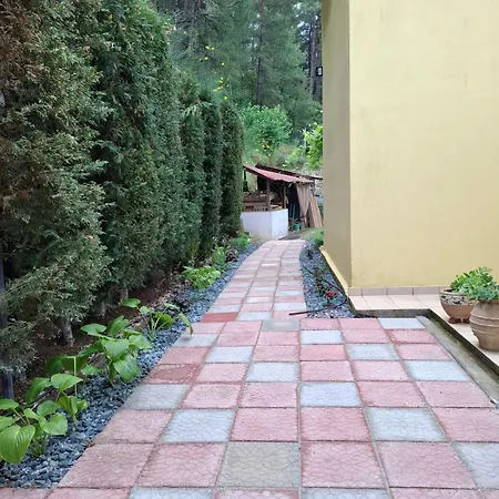 Six Steps From The Forest Feriehus *
