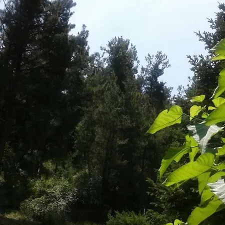 Six Steps From The Forest Casa vacanze