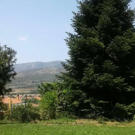Six Steps From The Forest Zigos (Kavala)