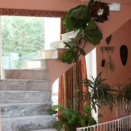 Six Steps From The Forest *