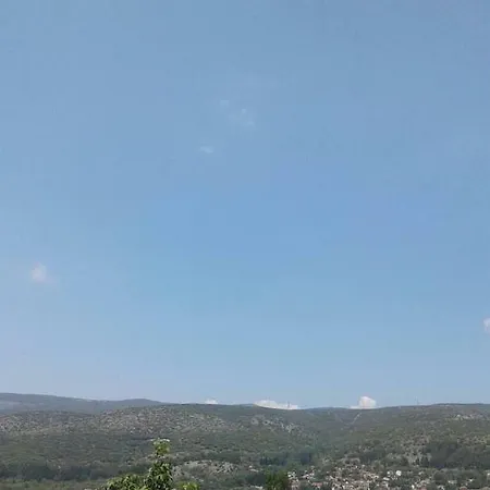 Casa vacanze Six Steps From The Forest