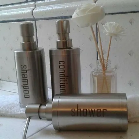 Six Steps From The Forest *