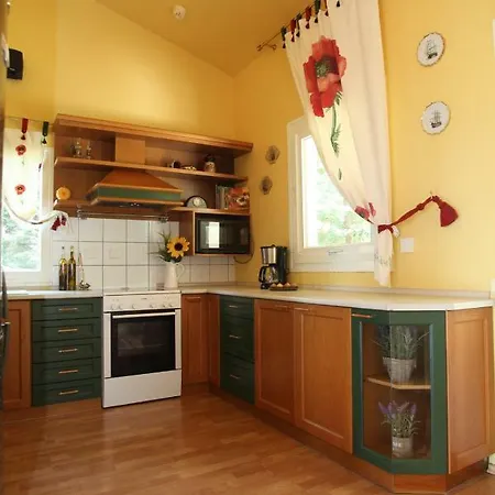 Six Steps From The Forest