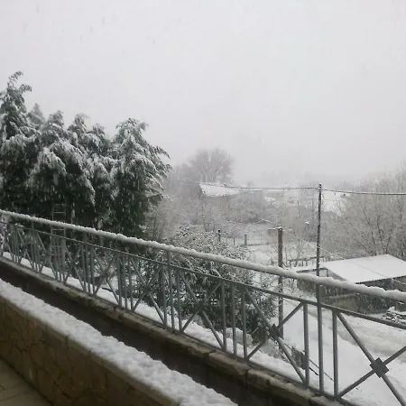 Six Steps From The Forest Casa vacanze