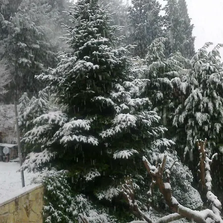 Tatil Evi Six Steps From The Forest Zigos (Kavala)