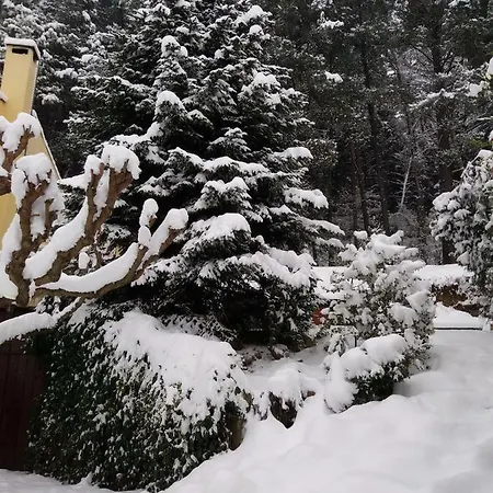 Six Steps From The Forest Casa vacanze