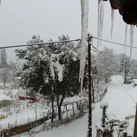 Casa vacanze Six Steps From The Forest *