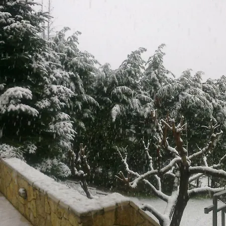 Tatil Evi Six Steps From The Forest *