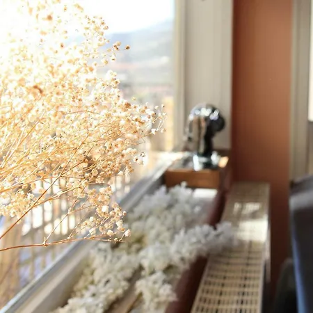 Casa vacanze Six Steps From The Forest *