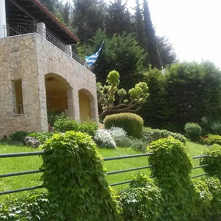 Six Steps From The Forest