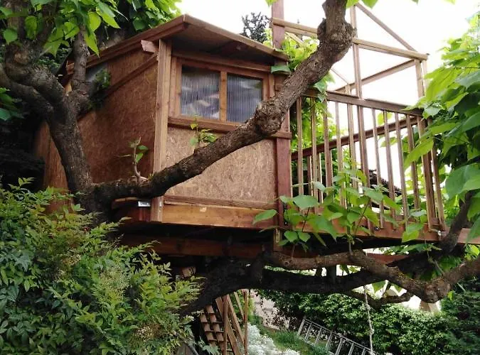 Сasa de vacaciones Six Steps From The Forest