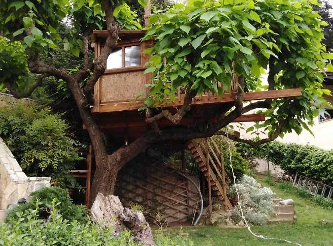 Casa vacanze Six Steps From The Forest Zigos (Kavala)