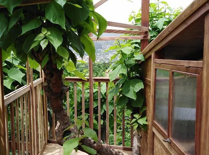 Six Steps From The Forest Сasa de vacaciones Zigos (Kavala)