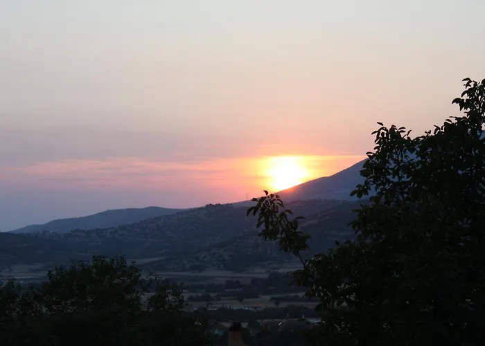 Six Steps From The Forest