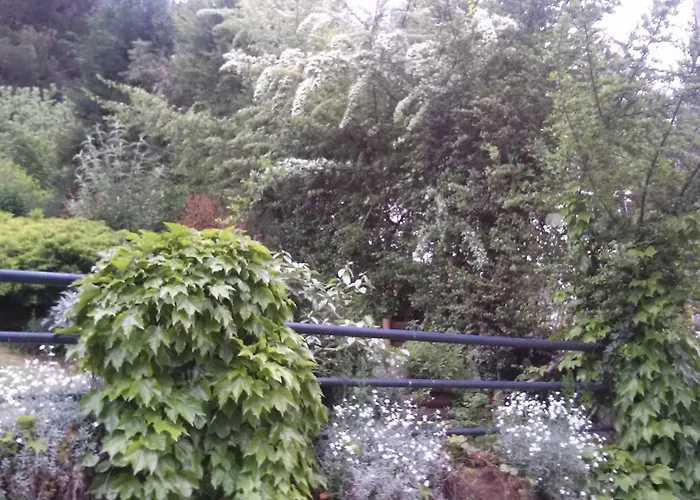 Сasa de vacaciones Six Steps From The Forest Zigos (Kavala)