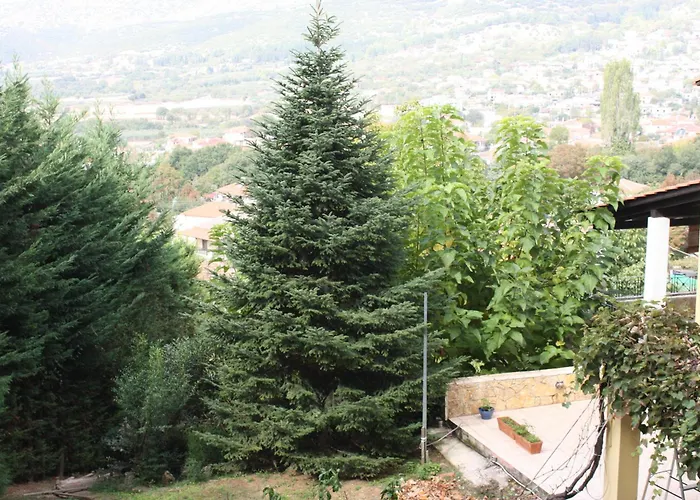 Six Steps From The Forest Zigos (Kavala)