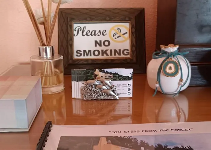 Сasa de vacaciones Six Steps From The Forest Zigos (Kavala)