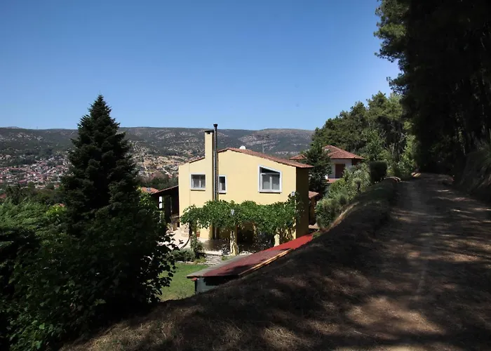 Six Steps From The Forest Zigos (Kavala)