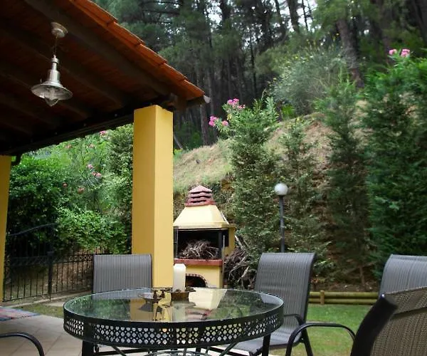 Six Steps From The Forest Zigos (Kavala)