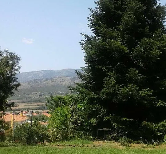 Six Steps From The Forest Zigos (Kavala)