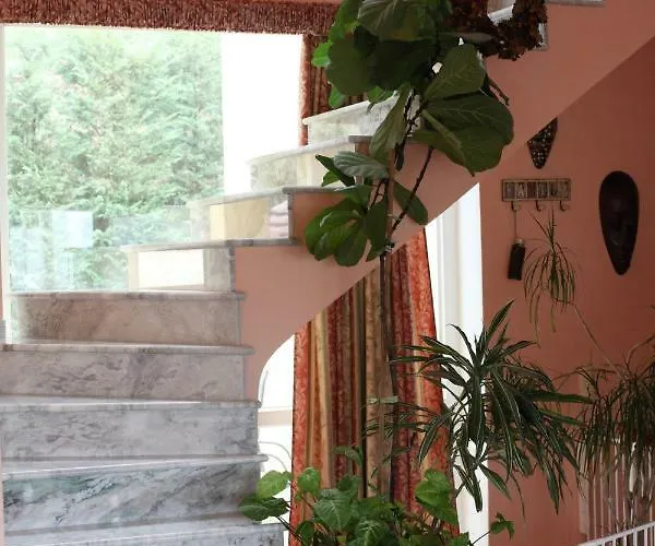 Six Steps From The Forest *