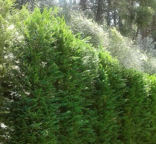 Сasa de vacaciones Six Steps From The Forest Zigos (Kavala)