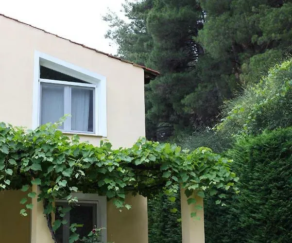 Six Steps From The Forest