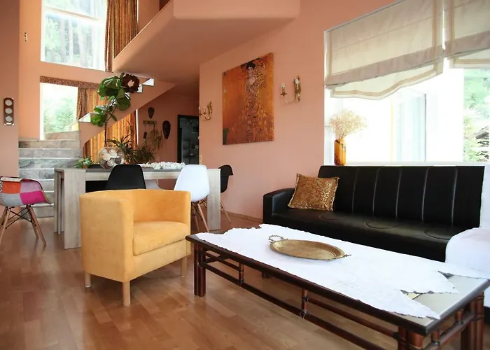 Six Steps From The Forest Zigos (Kavala)