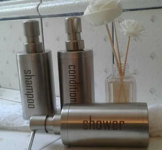 Six Steps From The Forest *