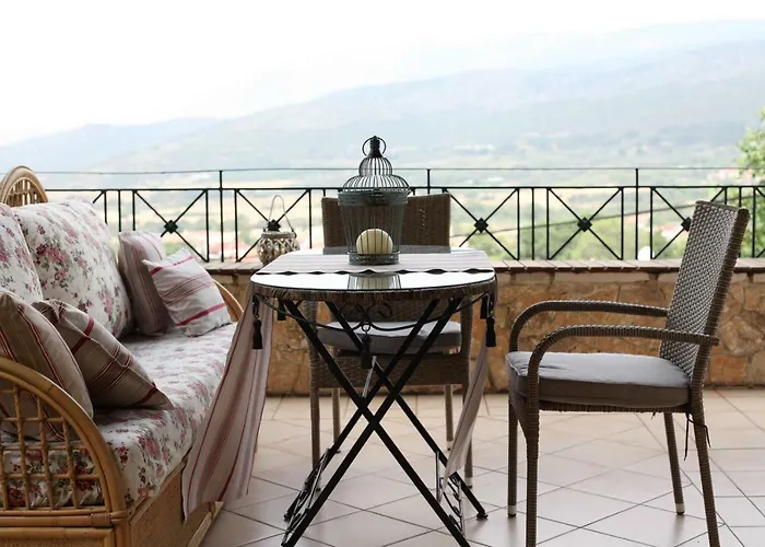 Six Steps From The Forest *