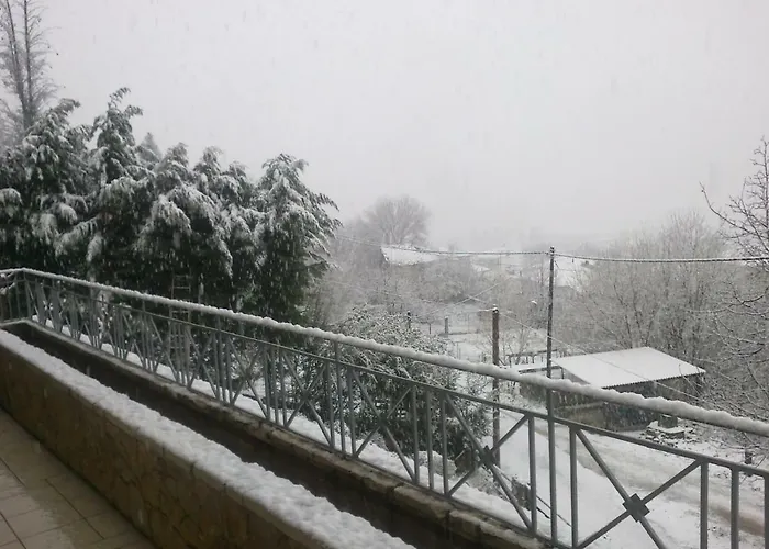 Six Steps From The Forest Сasa de vacaciones