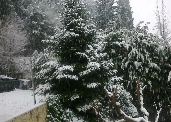 Сasa de vacaciones Six Steps From The Forest Zigos (Kavala)