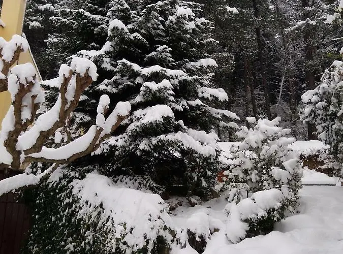 Six Steps From The Forest Сasa de vacaciones