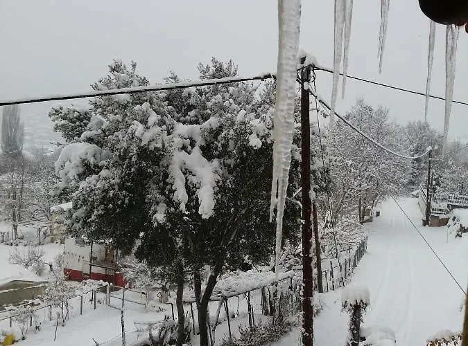 Сasa de vacaciones Six Steps From The Forest *