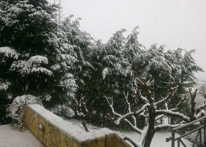 Сasa de vacaciones Six Steps From The Forest *