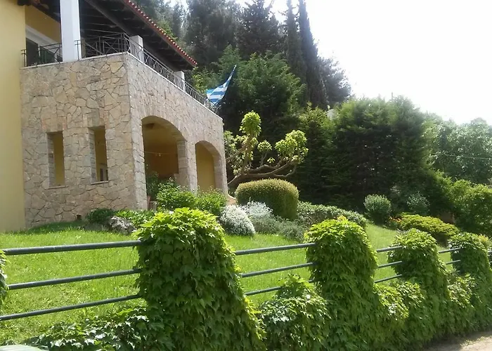 Six Steps From The Forest